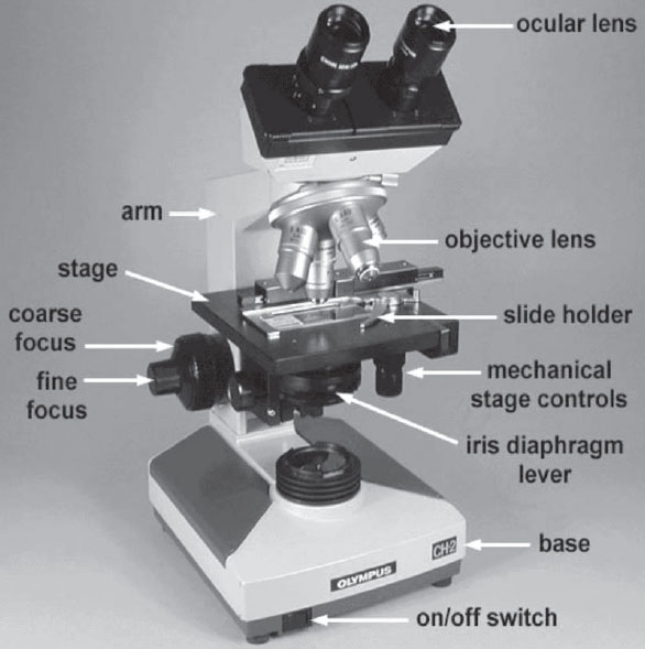Olympus microscope.