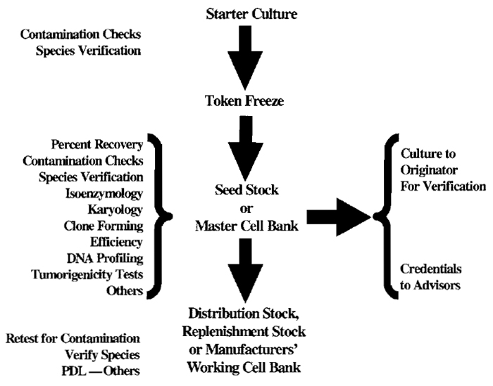 FIGURE 1 Accessioning Scheme.