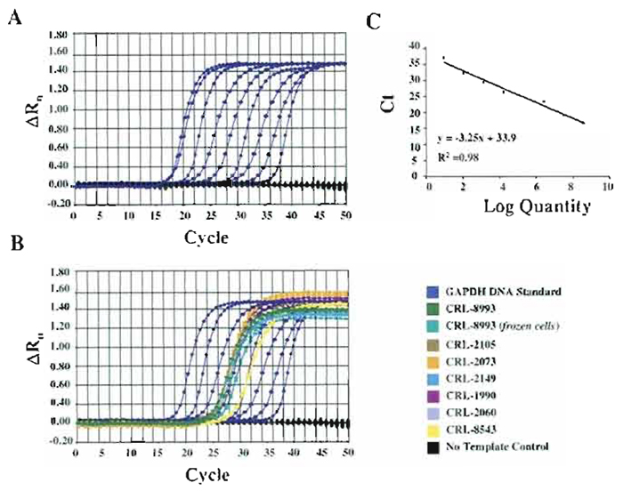 FIGURE 3 Real-time PCR assays for the quantitation of endogenous GAPDH transcripts as an internal control. Amplification plots (A) and standard curves (B) generated for the quantitation of GAPDH. (C) Amplification plots of endogenous GAPDH from each specific cell line.