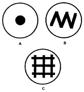 FIGURE 2 Examples of seeded plates. (A) Spot plate used for matings with single males or with mutant animals that do not mate well. (B) Zig-zag plate used for routine strain maintenance and crosses. (C) Grid plate used for mutant screens, strain maintenance, or crosses in which progeny are counted.