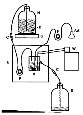 FIGURE 3 Chemostat assembly. N, nutrient reservoir; V, culture vessel; E, effluent tank; S, large stir plate; B, large stir bar (in reservoir to keep bacteria evenly suspended); W, refrigerated circulating water bath (set at 12°C) connected to cold finger of chemostat culture vessel; U, Bioflo I control unit; P, peristaltic pump; SA, selective agent; C, compression fitting (Swagelok Co.) used in the line for easy reservoir replacement (see Section III, C, step 12). Sterility is critical for the maintenance of long-term cultures.