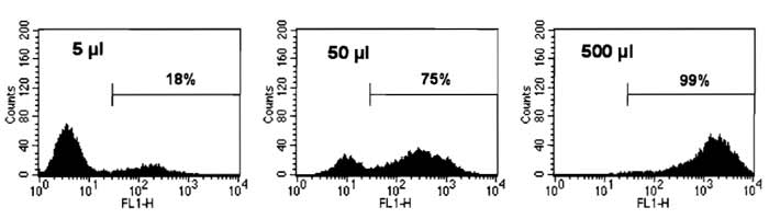 FIGURE 4 A representative FACS analysis of HeLa cells used for titration of GFP-coding LV. HeLa cells (105) were incubated with various volumes of a supernatant containing a LV expressing GFP under the control of the human PGK promoter [pRRLSIN.cPPT.PGK.GFP.WPRE (Follenzi <em>et al.</em>, 2000)] as described in the text. After 4 days, cells were detached, fixed, and analyzed by FACS for GFP fluorescence (x axis, four-decade log scale, FL1) versus number of cells (y axis, linear scale). The percentage of GFP-expressing cells was measured by placing a marker discriminating between GFP-negative (mean of fluorescence intensity 3-4) and GFPpositive (mean of fluorescence intensity 200) cells.