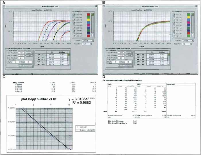 FIGURE 5 A representative QPCR analysis used for titration of HIV-1-based LVs. DNA from 8E5 cells, a CEM-derivative (Cat. No. CRL-8993, ATCC; which contains a single copy of a replication defective HIV-1 provirus), was diluted by ten-fold increments in DNA from CEM cells. A sample of each dilution was submitted to QPCR amplification and monitoring using a Perkin-Elmer 7700 (Applied Byosystems) and sets of primers and probes specific for HIV gag sequences (GAG-FAM, A) or β-actin sequences (BAC-VIC, B). Amplification plots were displayed, and cycle threshold values (Ct) were set as described in the text. Values of GAG Ct and BAC Ct were exported in an Excel worksheet to calculate ΔCt values (x axis, linear scale) and plot them against copy number values (y axis, log scale) (C). The regression curve can then be used to calculate GAG copy numbers (Y value) of unknown samples by applying the formula to ΔCt values (X values) of the sample. (D) Calculated DNA contents of primary human cells, CEM, cells and HeLa cells based on the chromosome contents (after ATCC catalog).