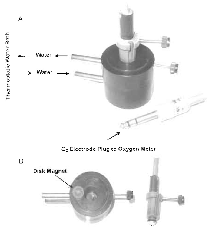 FIGURE 1 Reaction vessel for measurement of oxygen utilization with the oxygen electrode. Oxygen electrode and the reaction chamber are displayed in assembled form (A) and in disassembled form (B).