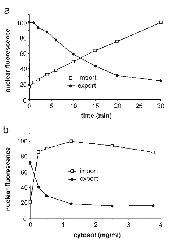 FIGURE 4 Nuclear export of GFP-NFAT and nuclear import of Cy5-BSA-NLS were analyzed in parallel by flow cytometry. (a) Time course of nuclear transport. All reactions contained 2mg/ml of cytosol and 25µg/ml of recombinant Ran. (b) Cytosol dependence of nuclear transport. Reactions contained 50µg/ml of recombinant Ran and the indicated amounts of cytosol. All reactions were performed using preincubated cells (see step 5 in Section III,E) to enhance the cytosol dependence of transport. Portions of this figure were reprinted by permission from the J. Cell Biol., Rockefeller University Press.