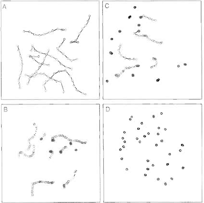 FIGURE 3 Actin filaments plotted in two-dimensional space as a function of time. A) smoothly moving actin filaments; B) actin filaments moving more erratically; C) a mixture of moving and nonmoving actin filaments; D) nonmoving actin filaments.