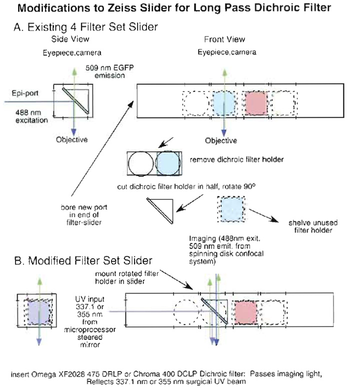 FIGURE 4 Modifications required so that a Zeiss epifluorescent filter holder/slider can be used to introduce UV ablating light onto the optic axis of a Zeiss Axioplan microscope (see text). (A) A schematic of the unmodified four-position slider with filter sets. It diagrams removal and modification of one of the dichroic filter mounts. (B) A schematic of the modified holder with the appropriate dichroic mounted. UV ablating light enters through a hole bored in the end of the slider.