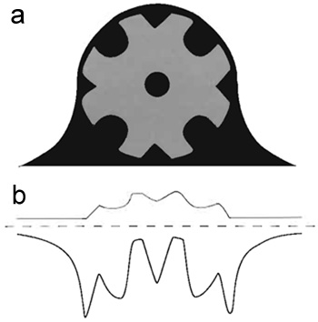 FIGURE 2 Schematic representation of a "negatively stained" model specimen. (a) The schematic view represents a cross section through a model specimen (light grey) that has been embedded in an ideal negative stain (dark grey). (b) The schematic view in a was projected by adding the pixel values along the vertical axis. The projection profile of the "negatively stained" model specimen is represented by a thick black trace, whereas the projection profile of the "unstained" model specimen is depicted by a thinner grey trace. In the case of the "negatively stained" specimen, its projection profile was inverted, i.e., multiplied by-1, to compare it directly with the corresponding profile of the "unstained" specimen.