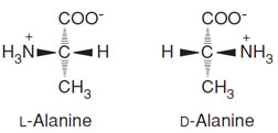 Stereoisomers of L-alanine and D-alanine.