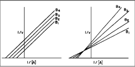 Plots of the reciprocal initial velocity against the reciprocal concentration of substrate A for a o-substrate reaction at several different concentrations of substrate B. The plot on the left  reflects a mechanism in which a free enzyme bearing a covalently linked group is generated, while that on the right shows a sequential one in which two substrates bind and the reaction occurs. [From Hammes, G. G. (1982). Enzyme Catalysis and Regulation. Academic Press, New York. Used with permission.]
