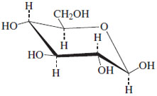 AlL-equatorial structure of β-D-glucose.