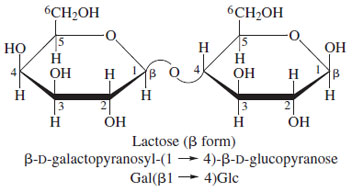 Structure of lactose, the major sugar present in milk.