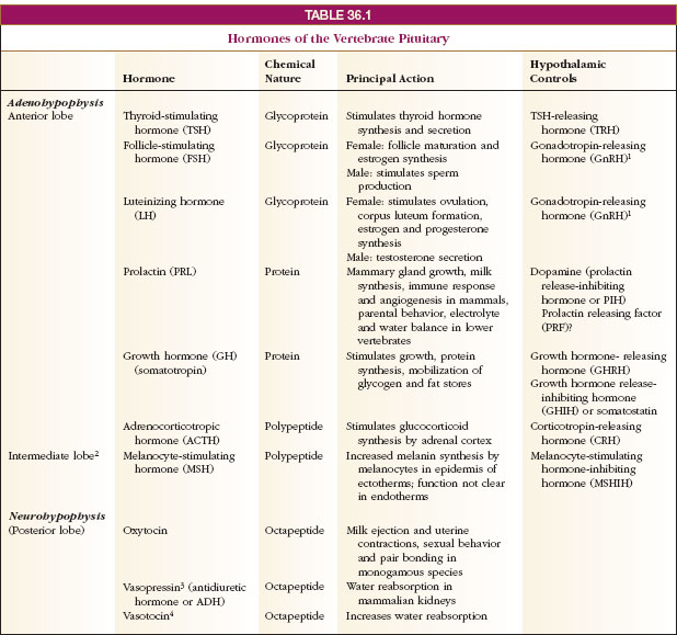 chemical coordination, mechanisms of hormone action, membrane bound receptors and the second messenger concept, nuclear receptors, invertebrate hormones, vertebrate endocrine glands and hormones, hormones of the hypothalamus and pituitary gland, hypothalamus and neurosecretion, anterior pituitary, posterior pituitary, pineal gland, brain neuropeptides, prostaglandins and cytokines, hormones of metabolism, thyroid hormones, hormonal regulation of calcium metabolism, hormones of the adrenal cortex, hormones of the adrenal medulla, insulin and glucagon from islet cells of the pancreas, growth hormone and metabolism, the newest hormone leptin