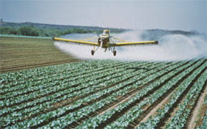 In McAllen, Texas, a plane sprays