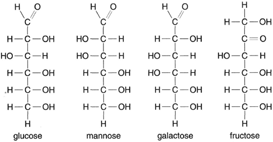 The four sugars glucose, mannose, galactose, and fructose all have the same empirical formula, C6H12O6.