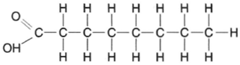 Structural formula for a fatly acid.