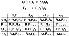 Polygenic inheritance. If four Rs are present in the progeny, dark grains will be noted; if three Rs are present, the grain color will be medium-dark. If two Rs are present, grain (that is, only small rs are present), the grain color will be white.