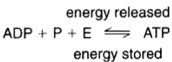 When a phosphate is added to adenosine diphosphate to make adenosine triphosphate, energy is invested. When a phosphate is broken away from ATP (thus returning it to a diphosphate), energy is liberated.