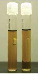 When Durham tubes are placed inside broth tubes, gas produced by fermentation of carbohydrates in the medium can be visualized as a bubble in the inner tube (left). The organism on the right does not produce gas when fermenting carbohydrates.