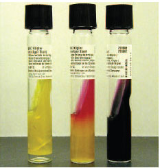 Kligler iron agar slants test for fermentation of glucose and lactose and the production of gas and hydrogen sulfide. The organism on the left ferments both glucose and lactose with gas production (bubbles in medium). The organism in the middle ferments glucose (yellow butt) but not lactose (pink slant). The organism on the right ferments glucose (with gas production) but not lactose, and blackens the agar as a result of hydrogen sulfide production. Reactions are similar on TSI slants.
