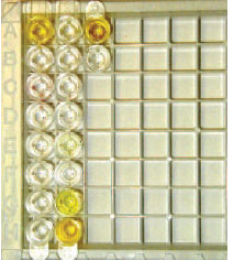 A direct enzyme immunoassay for Clostridium difficile toxin. The wells have been coated with antibody against the toxin and suspensions of patient fecal specimens added. The first well in row A and the second wells in rows G and H are strongly positive, whereas the second well in row E shows a weakly positive
