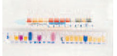 Rapid bacterial identification. In the Enterotube II (top) and API strip (bottom), many reactions are tested simultaneously allowing definitive organism identification within 24 hours.