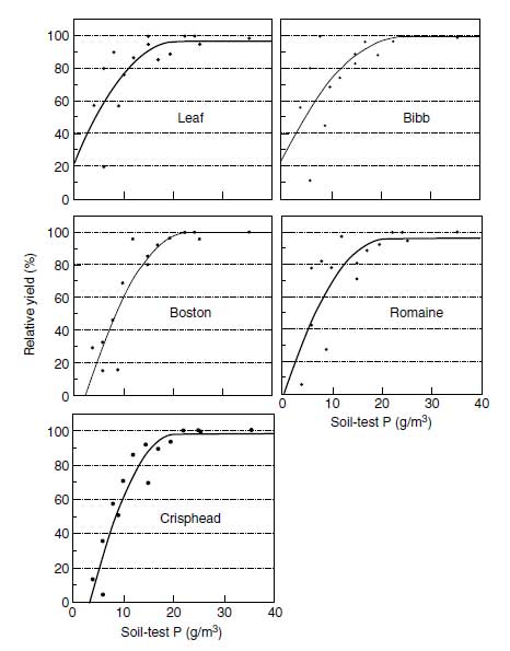 Response of five lettuce types to soil-test phosphorus