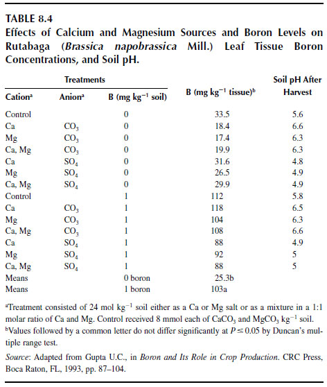 Effects of Calcium and Magnesium Sources and Boron Levels on Rutabaga (Brassica napobrassica Mill.) Leaf Tissue Boron Concentrations, and Soil pH.