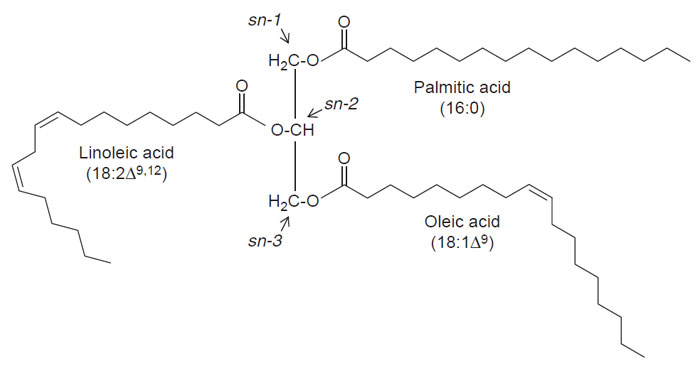 FIGURE 7.1 Structure of a typical triacylglycerol (TAG) molecule of vegetable oil. A TAG molecule consists of fatty acids attached by ester linkages to each of the three stereospecific or sn positions of a glycerol backbone. As shown, the <em>sn-</em>2 position of a typical plant TAG is occupied by an unsaturated fatty acid. Saturated fatty acids generally occupy only the <em>sn-</em>1 or <em>sn-</em>3 positions, but unsaturated fatty acids can be found at any of the three stereospecific positions.