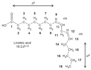 FIGURE 7.2 Structure of linoleic acid. This structure illustrates the basis for the shorthand notation that is often used for fatty acids. The 18:2Δ9,12 abbreviation indicates that linoleic acid contains 18 carbon atoms and 2 double bonds, which are located at the C-9 and C-12 atoms relative to the carboxyl end of the fatty acid. Linoleic acid is often referred to as an ω-6 fatty acid, which indicates that the last double bond is positioned six carbon atoms from the methyl end of the fatty acid. Vegetable oils rich in linoleic acid, such as soybean oil, are sometimes called ω-6 oils.