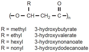 FIGURE 8.3 Chemical structure of polyhydroxyalkanoate. The monomers can range from 3 to 16 carbons in length, depending on the size of the pendant R group.