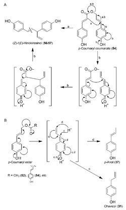 FIGURE 13.15 Possible mechanisms for conversion of p-coumaryl alcohol esters into (A) hinokiresinol (56/57) and (B) chavicol (31) and p-anol (37). (A) (a) Concerted or (b) through intermediacy of a quinone methide and (B) (c) and (d) formation of a quinone methide intermediate through displacement of the (interchangeable) ester leaving group, with subsequent reduction by hydride [from NAD(P)H] and rearomatization to form either (c) chavicol (31) and/or (d) p-anol (37). The reactions in (B) may also proceed through direct displacement, without intermediacy of the quinone methide, by an incoming hydride at carbons 7 or 9 to form chavicol (31) or p-anol (37), respectively (not shown). Source: Modified from Vassão et al. (2006b).