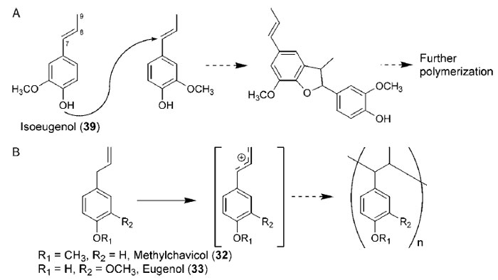 FIGURE 13.20 Polymerization of (A) isoeugenol (39) via furanocoumaran intermediacy and (B) methylchavicol (32) and eugenol (33) through rearrangement prior to polymerization.