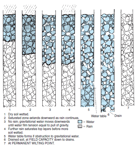 Figure 19.3 Water in the soil