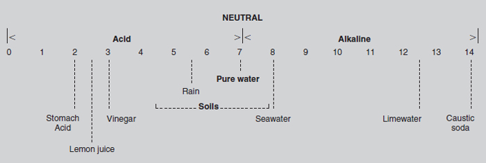 Figure 20.2 The pH scale