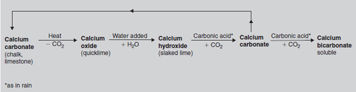 Figure 20.5 Forms of calcium