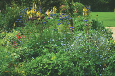 Flower border showing the use of flower colour: light 