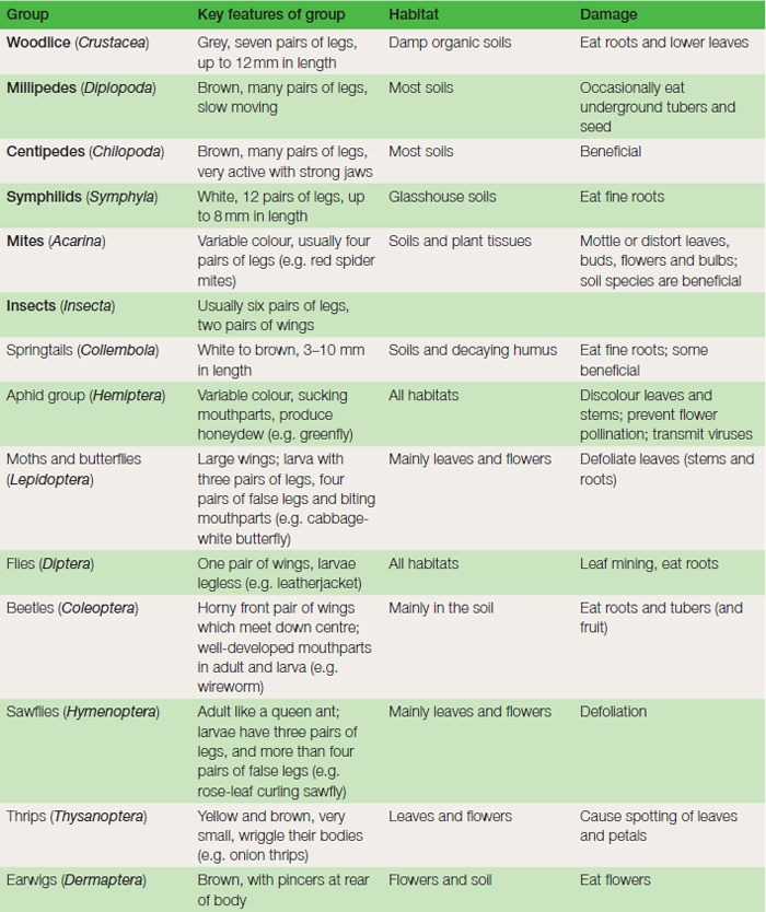 Table 14.1 Arthropod groups found in horticulture