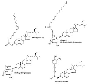 Fig. 7.1 Structure of plant sterol and stanol esters.