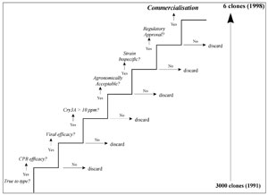 Fig. 9.1 Steps to commercialisation for NewLeafTM Plus and NewLeafTM Y CPB and virus-resistant potato clones (from Rogan et al. submitted publication).