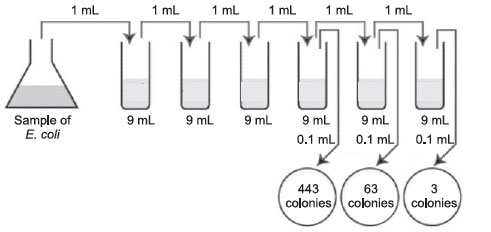 Plate count