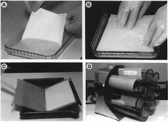 FIGURE 1 (A) Wetting the nitrocellulose membrane. (B) Placing the membrane on top of the gel. (C) Holder with fiber gel pads. (D) Rotating roller system (Navigator).