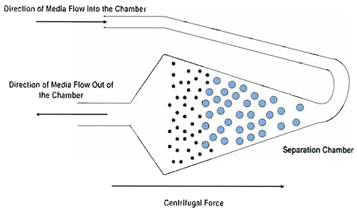 FIGURE 1 Cell separation dynamics and opposing forces in the elutriation chamber. The flow of media is opposed by centrifugal force in a balance that holds particles in equilibrium in the separation chamber. Due to different levels of force applied proportional to surface area presented, smallest particles sort to the inside of the chamber relative to larger particles. Separation is achieved by increasing the flow rate incrementally to push the smallest population of particles past the widest part of the chamber and into the inner narrowing section where media flow accelerates affecting elutriation of the population.