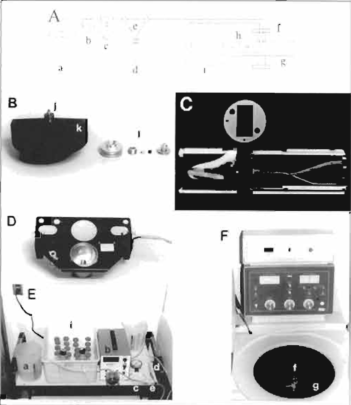 FIGURE 2 Assembly and setup of centrifugal elutriator. (A) Schematic of the centrifugal elutriator. Elutriation medium is pumped from the reservoir beaker (a) by the peristaltic pump (b) through the pressure gauge (c) and the sample tube (d) or the bypass harness (e) through the rotating seal (f) and into the rotor (g). The sample is separated in the elutriation chamber (h) and is pumped back to the sample collection tubes on ice (i). (B) Rotor and rotating seal assembly, including O rings on top of the rotor (j), which seal the rotating assembly to the rotor, the elutriation chamber (k), and, from left to right, the outer ring, lower washer, the spring that is placed inside the lower washer, rotating seal, and top of the seal assembly (1). (C) Elutriation chamber showing left (outer) and right (inner) halves separated by the gasket (above). Note the actual separation chamber within the left side and the set screws and alignment pins extending beyond both edges of the right side of the chamber. (D) Strobe assembly located below the rotor. (E) Elutriation setup showing the reservoir beaker (a), the peristaltic pump (b), pressure gauge (c), sample tube (d), bypass harness (e), and sample collection tubes (i). Note the positions of beakers to supply/accept media. (F) Elutriation centrifuge showing the complete rotating seal assembly (f), elutriation rotor (g), with strobe wires/waste tubing extending through the right centrifuge wall, and the inlet/outlet tubing extending through the left centrifuge wall.