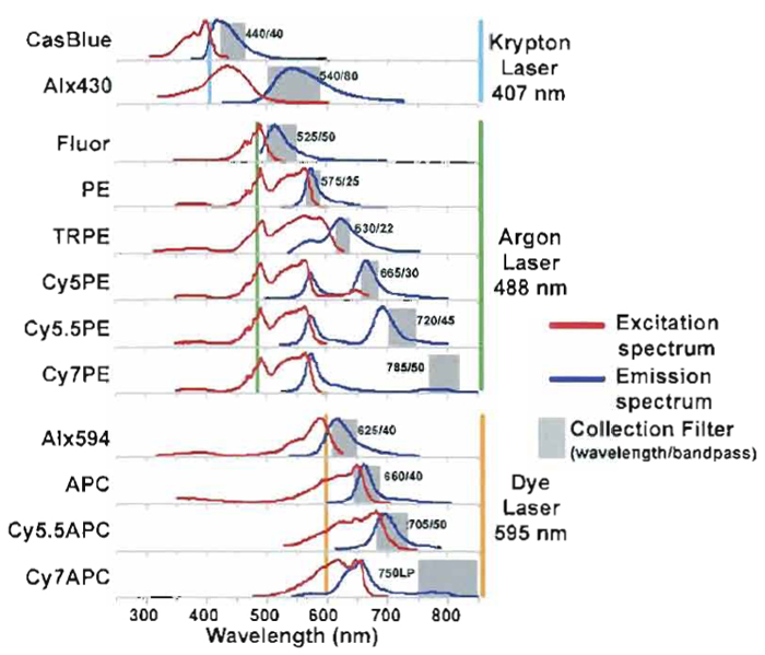 FIGURE 1 Conjugate spectrum chart of excitation and emission curves for common fluorochomes used in PFC. Laser lines show which conjugates are excited by the individual laser lines and the selected bandpass filters used to measure the specific emission.