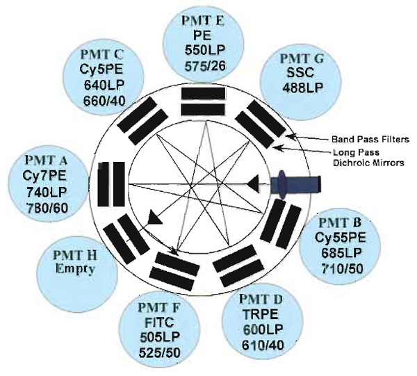 FIGURE 4 LSR II optical configuration of detectors for only the 488-nm diode laser. This configuration shows the light path with the typical dichroic mirrors and bandpass filters used to detect six different conjugates excited by this laser plus side scattered light.