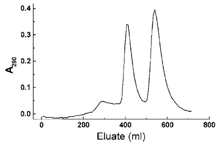 FIGURE 1 Separation of profilin, profilin : β-actin, and profilin : γ-actin using hydroxyl apatite chromatography (see Section III,A). The slightly more basic γ-actin : profilin complex elutes at lower ionic strength, followed by the β-actin : profilin complex at higher phosphate/glycine concentration. The small initial peak contains excess profilin.