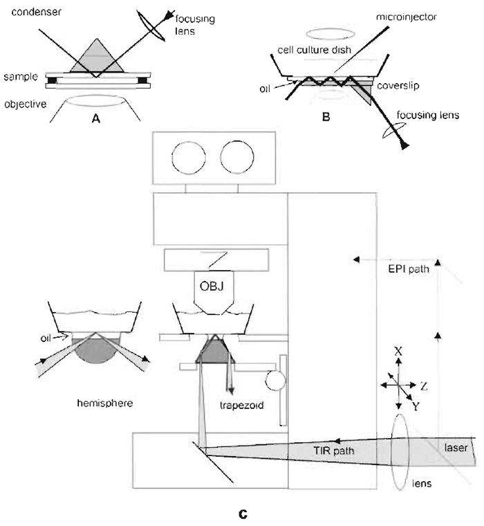 FIGURE 4 Schematic drawings for prism-based TIRFM using a laser as a light source. The vertical distances are exaggerated for clarity. (A) This configurations uses a TIR prism above the sample. The bufferfilled sample chamber sandwich consists of a lower bare glass coverslip, a spacer ring (made of 60µm-thick Teflon or double-stick cellophane tape), and the cell coverslip inverted so the cells face down. The upper surface of the cell coverslip is put in optical contact with the prism lowered from above by a layer of immersion oil or glycerol. The lateral position of the prism is fixed but the sample can be translated while still maintaining optical contact. The lower coverslip can be oversized and the spacer can be cut with gaps so that solutions can be changed by capillary action with entrance and exit ports. (B) This configuration places the prism below the sample and depends on multiple internal reflections in the substrate, thus allowing complete access to the sample from above for solution changing and/or electrophysiology studies. However, only air or water immersion objectives may be used because oil at the lower surface of the substrate will thwart the internal reflections. (C) TIRFM on an upright microscope utilizing the integral optics in the microscope base and a trapezoidal prism on the vertically movable condenser mount. The position of the beam is
adjustable by moving the external lens. An alternative hemispherical prism configuration for variable incidence angle is also indicated to the left. Vertical distances are exaggerated for clarity. An extra set of mirrors can be installed to deflect the beam into an epi-illumination light path (shown with dashed lines). Adapted from Axelrod (2003).