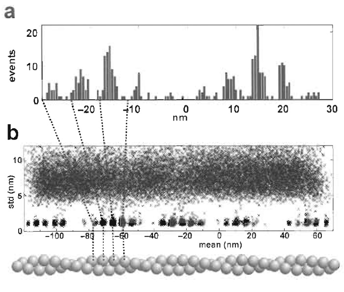FIGURE 6 (a) Histogram of the position of interactions with a stationary dumbbell and a relatively weak trap so that two target zones are accessed. The myosin is halfway between the two target zones. (b) A plot of the standard deviation versus the mean position of 5-ms time slices of a data record in which the dumbbell is moved past five target zones during the 100s of data collection.