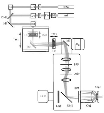 FIGURE 1 Optical configuration of the objective-type
TIRF microscope used in our laboratory. The excitation 
light paths are indicated for both lasers in one of two 
configurations. In one (light gray), beams are aligned with 
the optical axis of the excitation port of the microscope 
and travel up the center of the objective, generating
transmitted fluorescence illumination of the sample. In the
second, beams enter the illumination port off axis, traveling
up the edge of the objective, and are totally internally 
reflected at the sample. Switching between the two types 
of illumination can be accomplished by moving the 
translation mount TM1. Beam size, and
thus the size of the TIRF illumination spot, is determined 
by the relative positions of lenses L1 and L2. HeNe, 
helium-neon laser; ArI, mixed wavelength argon-ion laser;
S, shutter; BR, beam riser; FW, filter wheel; λ4, 
quarter-wave plate; DM1-2, dichroic mirrors; M1-3,
mirrors; L1-3, lenses; TM1-3, translation mounts; Hg, 
mercury arc lamp; BFP, back focal plane of the objective;
ObjP, object plane; Obj, objective; EmF, emission filter; 
ICCD, intensified chargecoupled device-based camera.